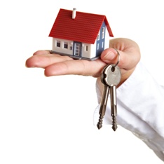 What to Look For When Buying a House and Property Image